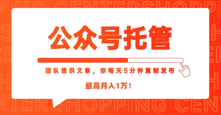 【公众号托管 】我提供文章，你每天５分钟复制发布，最高月入1W-117资源网
