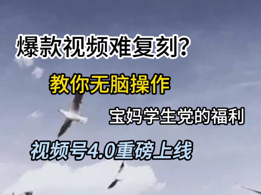 视频号4.0重磅上线，爆款视频难复刻？教你无脑操作宝妈学生党的福利【揭秘】-117资源网