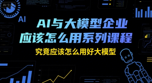AI与大模型企业应该怎么用系列课程，究竟应该怎么用好大模型-117资源网