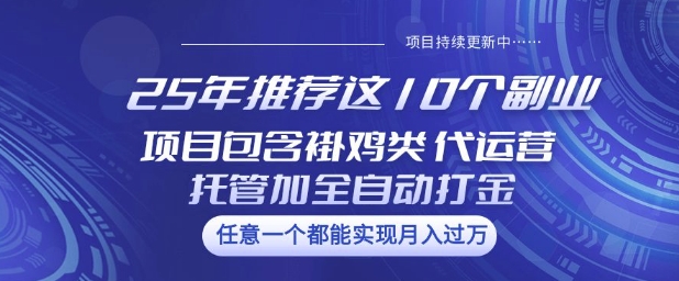 25年推荐这10个副业项目包含褂鸡类、代运营托管类、全自动打金类【揭秘】-117资源网