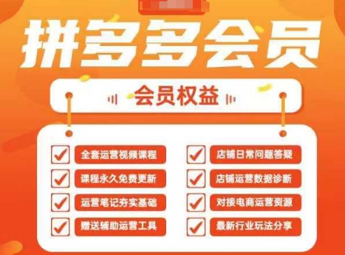 2025拼多多运营实战课，40节全流程教学，覆盖拼多多运营全链路-117资源网