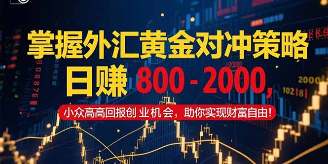 掌握外汇黄金对冲策略，日赚 800 – 2000，小众高回报创业机会，助你实…-117资源网