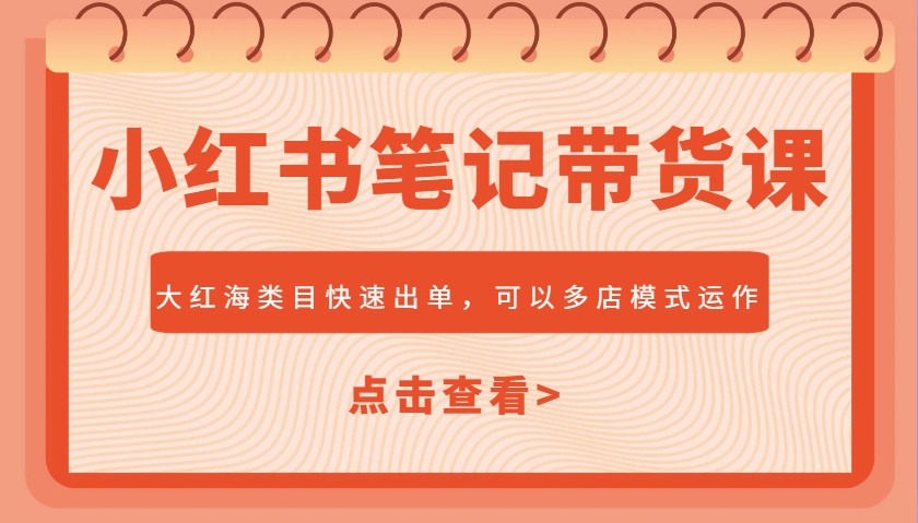 小红书笔记带货课，大红海类目快速出单，市场大，可以多店模式运作(更新)-117资源网