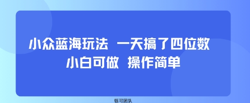 小众蓝海玩法 一天搞了四位数 小白可做 操作简单-117资源网