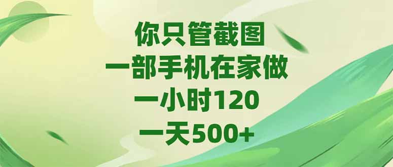 你只管截图，一部手机在家做，一小时120，-天500+-117资源网