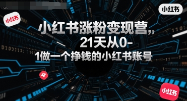 小红书涨粉变现营，21天从0-1做一个挣钱的小红书账号-117资源网