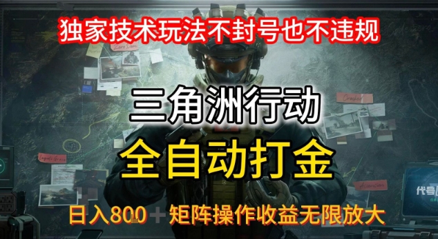 三角洲板砖揭秘项目免费送卡密-117资源网