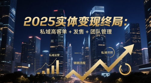 2025实体变现终局：私域高客单+发售+团队管理-117资源网