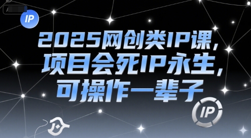 2025网创类IP课，项目会死IP永生，可操作一辈子-117资源网