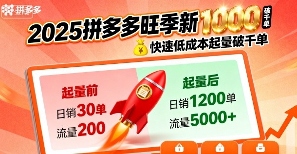 2025拼多多旺季新老店铺——快速低成本起量破千单-117资源网