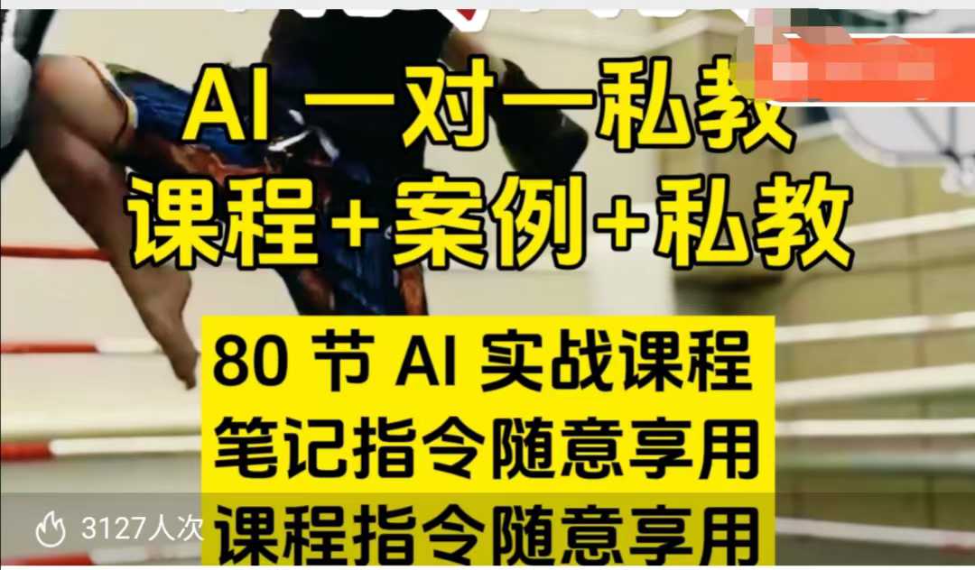 AI指令实战课，课程+案例，80节AI实战课程，笔记指令随意享用，课程指令随意享用(更新7月)-117资源网
