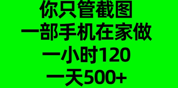 你只管截图,一部手机在家做,一小时120,一天500+-117资源网