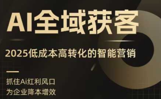 AI全域获客实训营，2025低成本高转化的智能营销，精准找客，高效营销-117资源网
