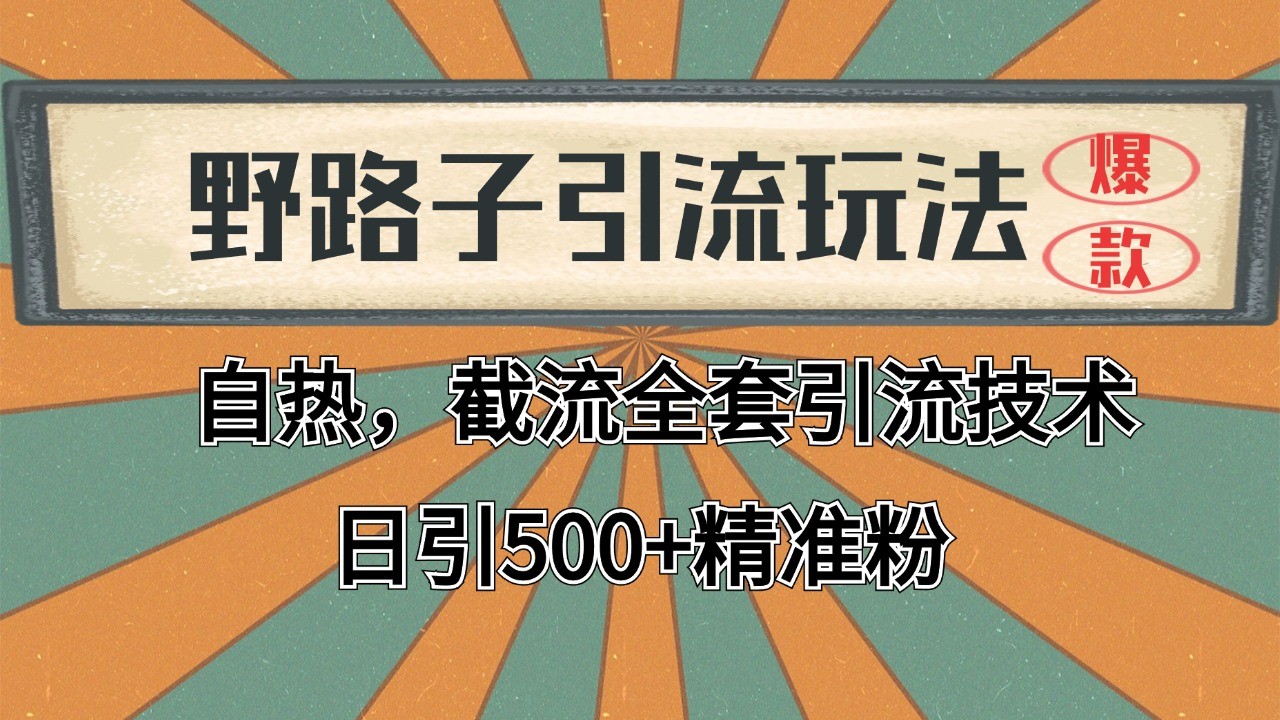 2024首发野路子引流玩法截流自热全平台打法，全自动引流【日引2000+精准客户】-117资源网