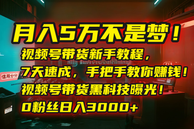 月入5万不是梦！视频号带货新手教程，7天速成，手把手教你赚钱！视频号…-117资源网