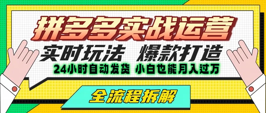 拼多多最新实战运营高投产：长久稳定项目，单店利润一天三位数-117资源网