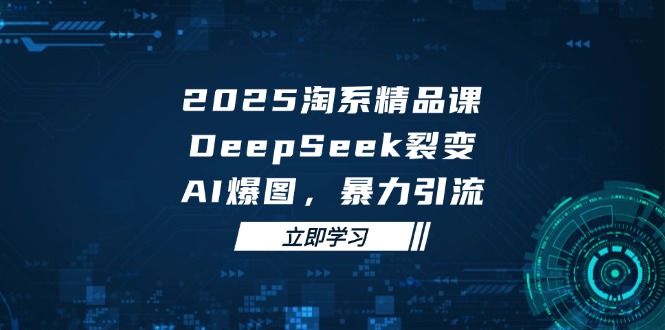 2025 淘系精品课，DeepSeek 裂变，AI 爆图，暴力引流-117资源网