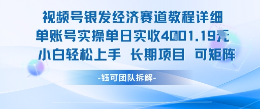 视频号银发经济赛道单账号实操单日实收1k+，小白轻松上手长期项目-117资源网