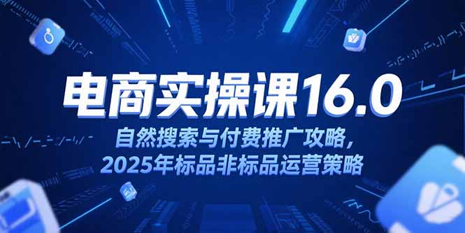 淘宝电商运营课16.0，自然搜索与付费推广攻略，2025年标品非标品运营策略-117资源网