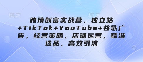 跨境创富实战营，独立站+TikTok+YouTube+谷歌广告，经营策略，店铺运营，精准选品，高效引流-117资源网