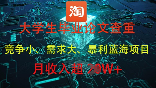 大学生毕业论文查重，暴利蓝海项目，月收入过1W+-117资源网