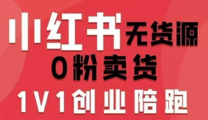 小红书无货源0粉电商课，开店准备、选品策略、笔记撰写、视频剪辑、数据分析、账号打造、资料文档-117资源网