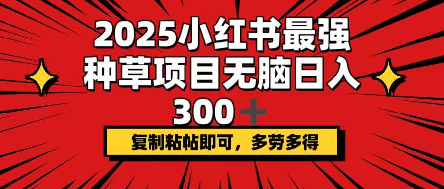 2025小红书最强种草项目，无脑日入300+，复制粘帖即可，多劳多得-117资源网