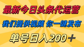 最新今日头条代运营，我们提供视频，你一键发布，单号日入200+【揭秘】-117资源网
