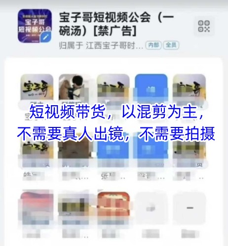 宝子哥头部团队短视频带货，以混剪为主，不需要真人出镜，不需要拍摄【更新9月】-117资源网