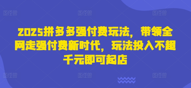 2025拼多多强付费玩法，带领全网走强付费新时代，玩法投入不超千元即可起店-117资源网