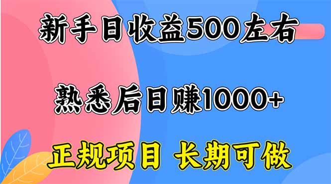 新手日收益500+ 正规项目 长期可做-117资源网