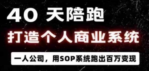 40天陪跑打造个人商业系统，一人公司，用SOP系统跑出百W变现-117资源网