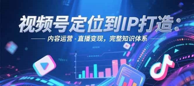 视频号定位到IP打造：账号搭建-内容运营-直播变现，完整知识体系-117资源网