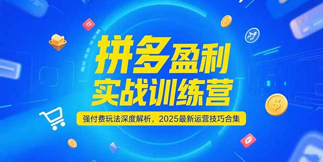 拼多多盈利实战训练营，强付费玩法深度解析，2025运营技巧合集-更新6月-117资源网