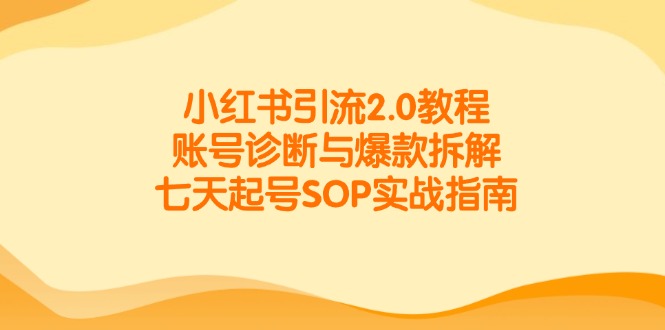 小红书引流2.0教程，账号诊断与爆款拆解，七天起号SOP实战指南-117资源网