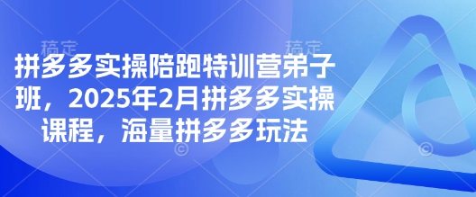 拼多多实操陪跑特训营弟子班，2025年2月拼多多实操课程，海量拼多多玩法-117资源网