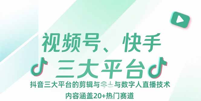 视频号、快手、抖音三大平台的剪辑与数字人直播技术，内容涵盖20+热门赛道-117资源网