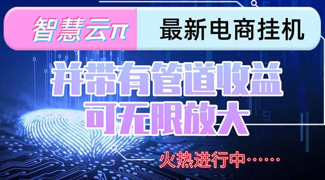 智慧云π电脑挂机单机每天收益300—500+ 并带有团队管道收益 可无限放大-117资源网