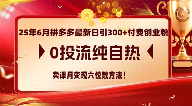 25年6月拼多多最新日引300+付费创业粉，0投流纯自热 卖课月变现六位数方法-117资源网