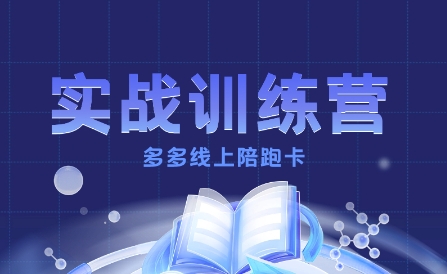 多多实战训练营，从0到1打造一个真正賺钱的店铺-117资源网
