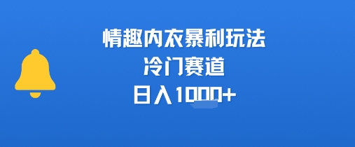 情趣内衣暴利玩法，冷门赛道，日入1k+-117资源网