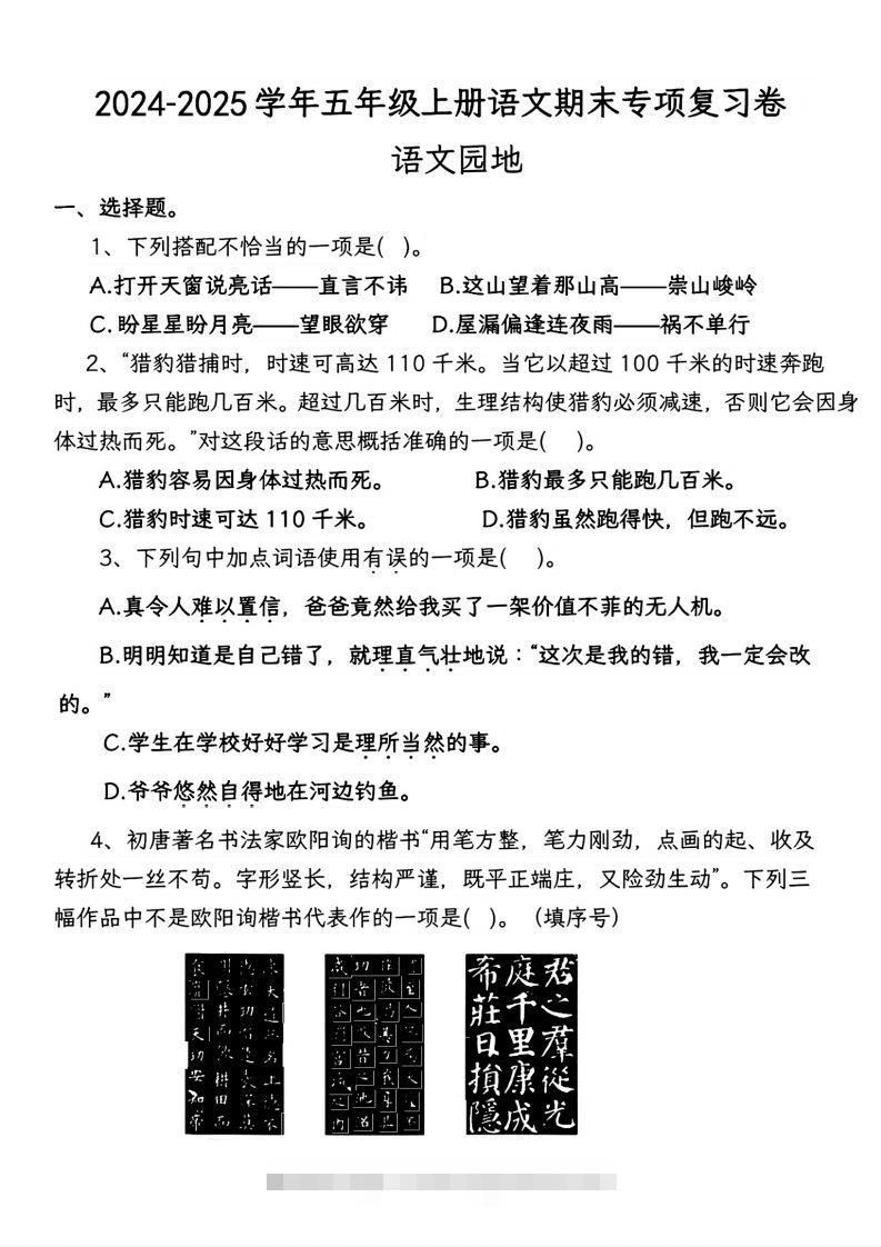 【期末专项复习卷-语文园地】五上语文-117资源网