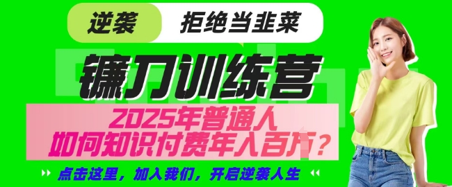 【网创项目终点站-镰刀训练营超级IP合伙人】25年普通人如何通过知识付费实现逆袭【揭秘】-117资源网