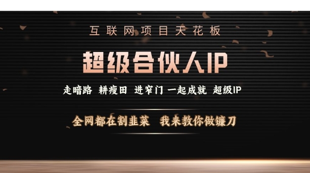 互联网项目天花板，超级合伙人IP，全网都在割韭菜，我来教你做镰刀【仅揭秘】-117资源网