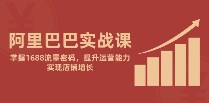 阿里巴巴实战课：掌握1688流量密码，提升运营能力，实现店铺增长-117资源网