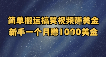 简单搬运搞笑视频挣美金，新手一个月入1k美金-117资源网