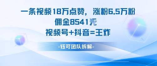 一条视频18W点赞，涨粉6.5W粉佣金8541米，视频号+抖音=王炸-117资源网