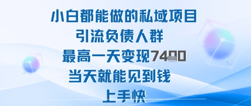 2025年小白都能做的私域项目引流负债人群最高一天变现1k+高变现难度低当天就能见到钱上手快-117资源网