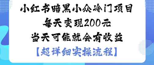 小红书暗黑小众冷门项目每天变现2张当天可能就会有收益-117资源网