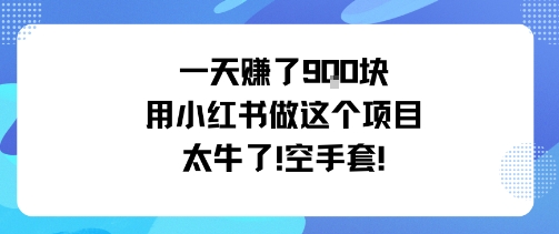 一天挣了9张用小红书做这个项目太牛了，空手套-117资源网